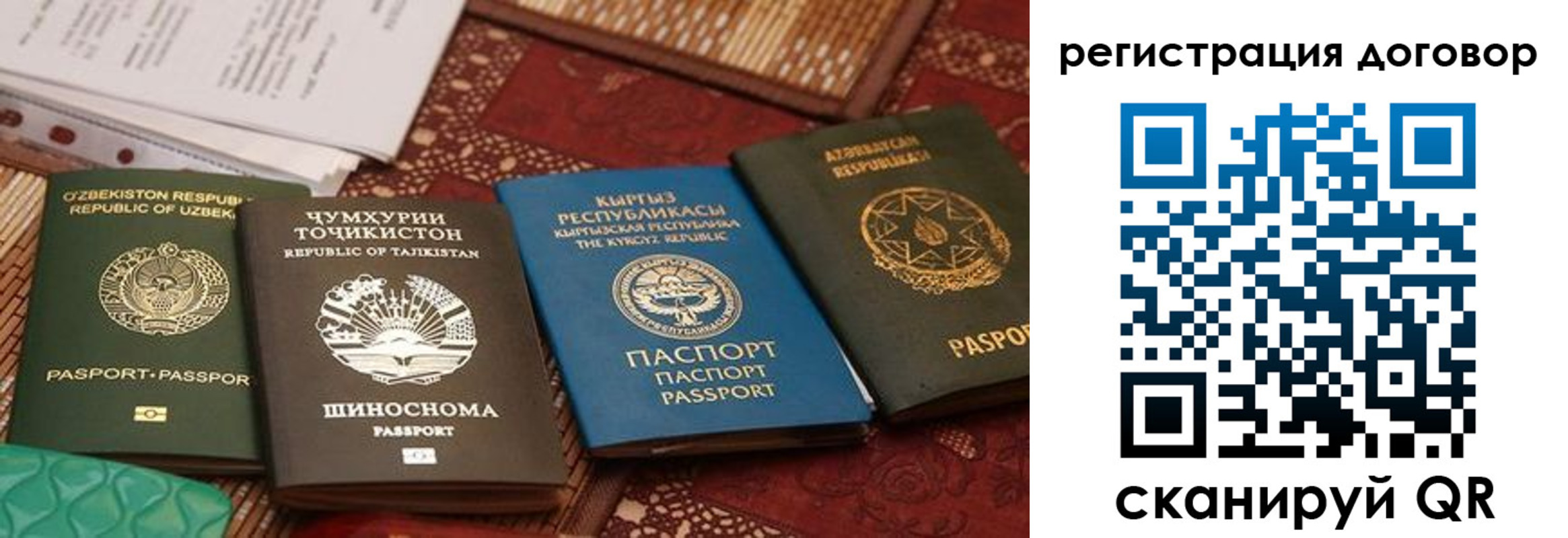 временная регистрация 2025 в Жуковском